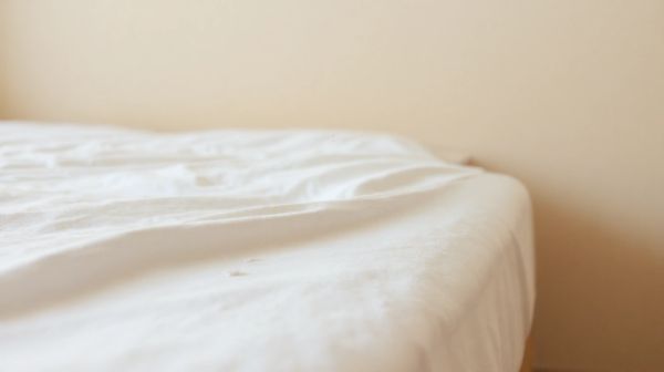 Détecter les punaises de lit : 5 signes révélateurs chez vous